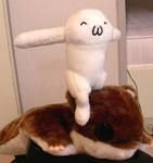 20060602a01.jpg