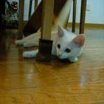 20060602b01.jpg