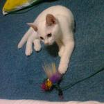 20060602b02.jpg