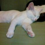 20060602b03.jpg
